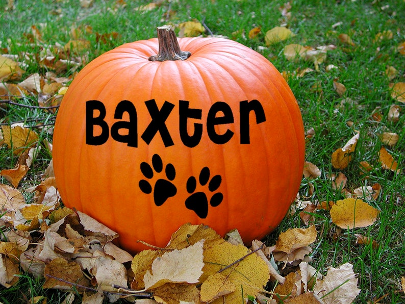 Pet name Vinyl Decal, Custom Name Decal, Pet Decal, personalized Pumpkin Decal, Halloween outdoor decorations, paw print decal, dog decal image 1