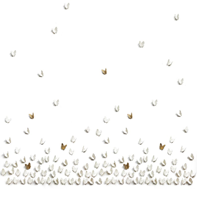 image to show 120 of these butterflies arranged together in a huge group