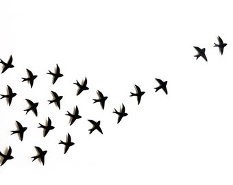 Extra large wall art set - 20 Black porcelain ceramic birds - Monochrome wall art - Original artwork wall hanging sculpture installation art