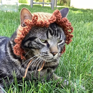 Hand-knitted Lion Cat--- handmade lion hat, lion mane costume for cats, cute hat made to fit most cats and kittens