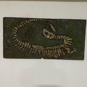 Velociraptor Fossil Wall Art – Realistic Dinosaur Skeleton Sculpture – Handmade Jurassic Decor – Prehistoric Wall Hanging for Home
