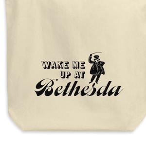 Subway Bags- DC- Wake me up at Bethesda