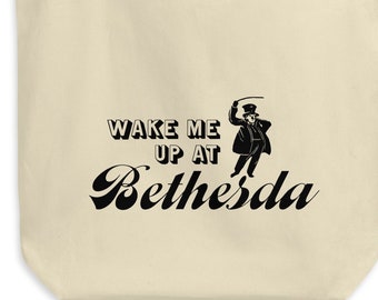 Subway Bags- DC- Wake me up at Bethesda