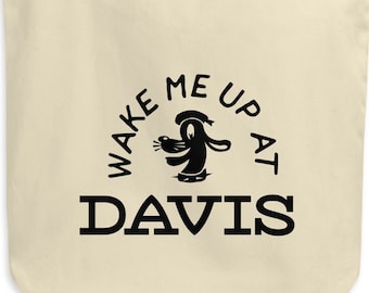 Subway Bags- Boston- Wake me up at Davis