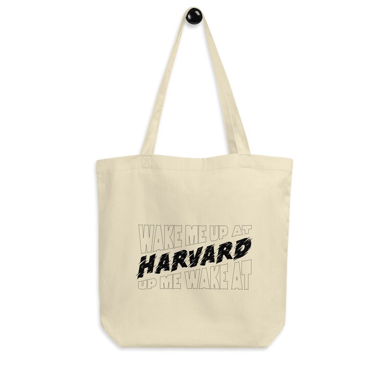Subway Bags Boston Wake me up at Harvard image 1