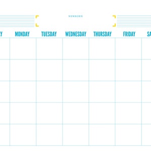 Baby's First Annual Report: An Undated 13-Month Calendar A fun and easy alternative to journaling to keep track of that 1st year image 5