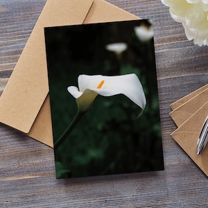Calla Lily - Pack of 10 5x7 Fine Art Greeting Cards with Kraft Envelopes