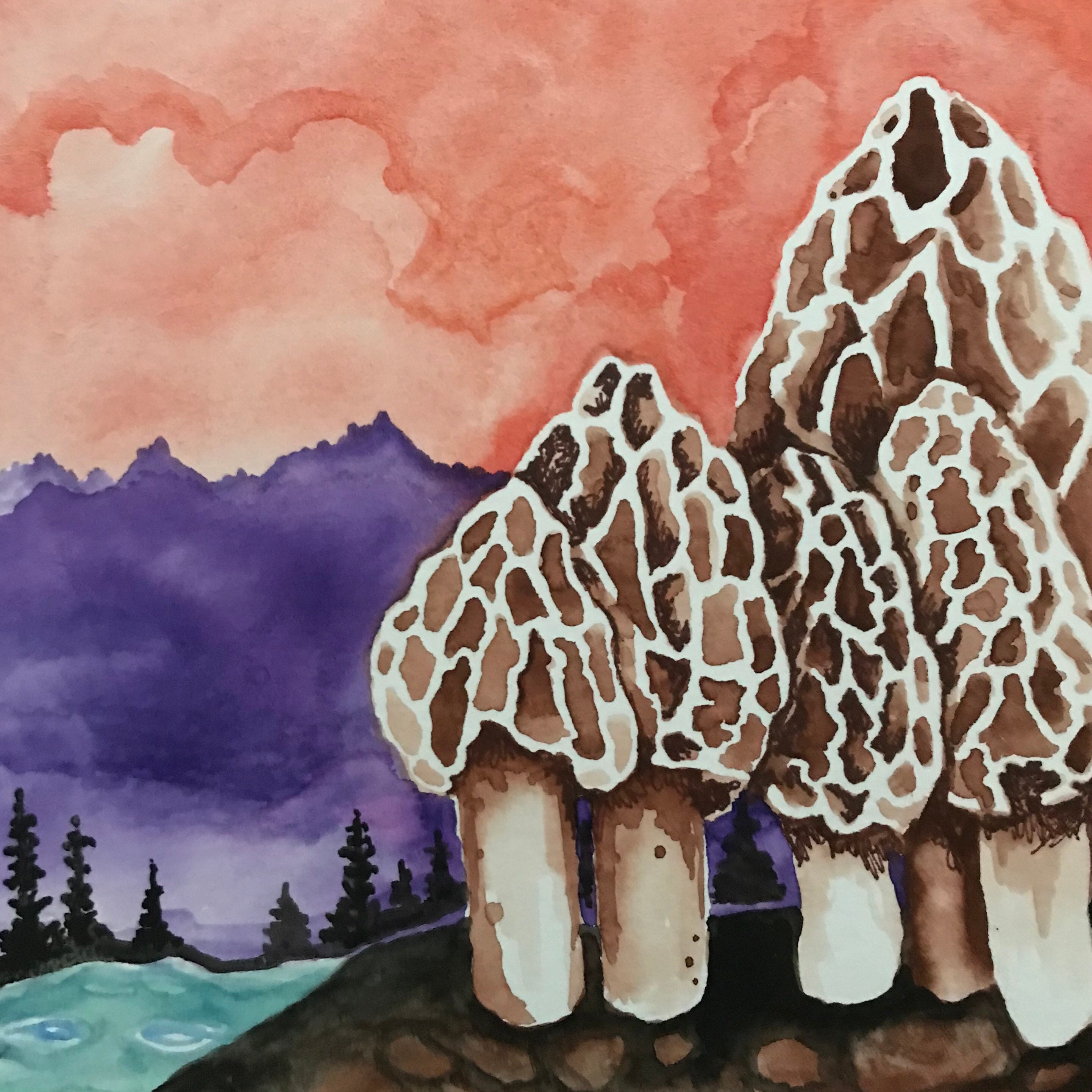 Art Card Questionable Morels by Aimee Babneau - Etsy