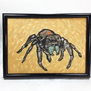 Jumping Spider Giclee Wall Art Print / 5x7 in / By Bret Pendlebury / Printed Artwork Home Decor Gift Artist Bugs Spiders Illustration