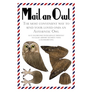 Cartes postales hibou, lot de 8 cartes postales "Mail an Owl"