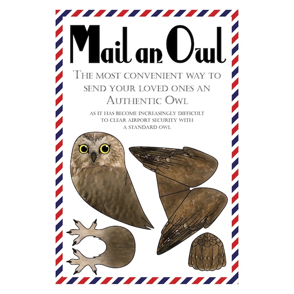 Cartes postales hibou, lot de 8 cartes postales "Mail an Owl"