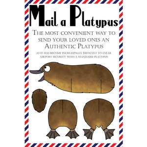 Cartes postales Platypus, lot de 8 cartes postales « Mail a Platypus »
