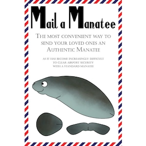 Cartes postales de lamantin, lot de 8 cartes postales « Mail a Manatee »