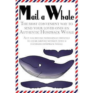 Carte postale baleine, lot de 8 cartes postales "Mail a Whale" (baleine à bosse)