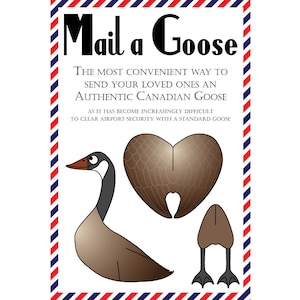 Cartes postales d'oie, lot de 8 cartes postales "Mail a Goose"