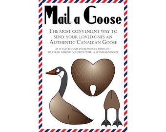 Cartes postales d'oie, lot de 8 cartes postales "Mail a Goose"