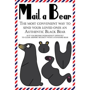 Bear Postcard, Set of 8 "Mail a Bear" (Black) Postcards