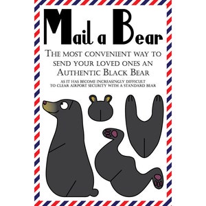 Carte postale ours, lot de 8 cartes postales "Mail a Bear" (noir)