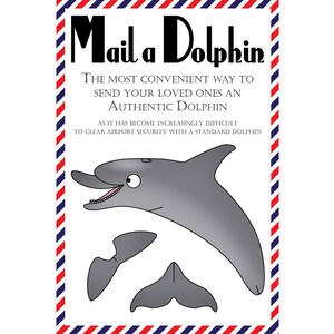 Cartes postales Dauphin, lot de 8 cartes postales « Mail a Dolphin »
