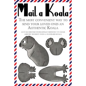 Cartes postales Koala, lot de 8 cartes postales « Mail a Koala »