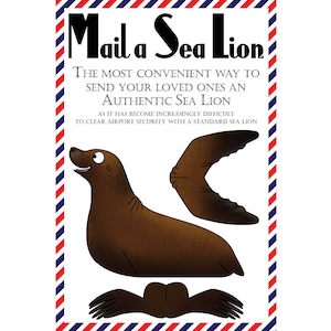 Cartes postales Lion de mer, lot de 8 cartes postales « Mail a Sea Lion »