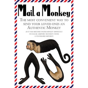 Carte Postale Singe, Lot de 8 Cartes Postales "Mail a Monkey"