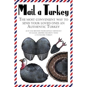 Cartes postales de Turquie, ensemble de 8 cartes postales « Mail a Turkey »