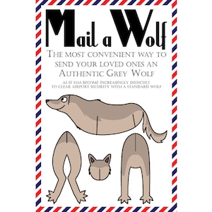 Cartes postales du monde, lot de 8 cartes postales "Mail a Wolf"