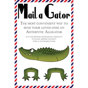 Cartes postales Gator, lot de 8 cartes postales « Mail a Gator »