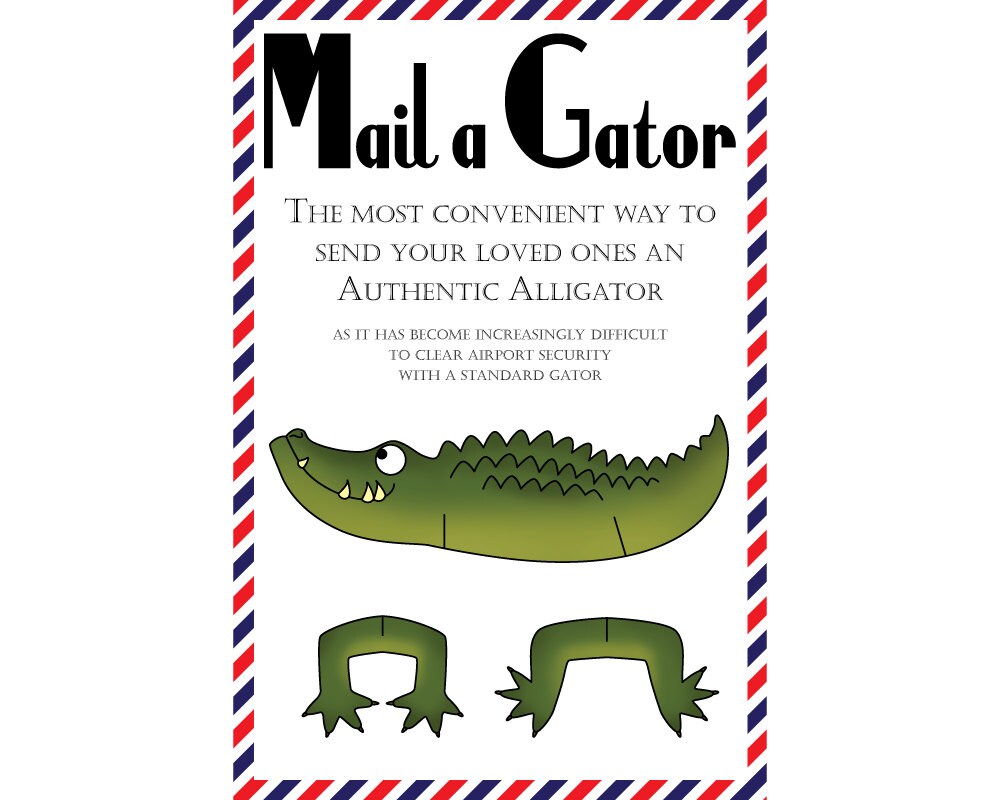 Gator Postcards Set of 8 mail a Gator Postcards Etsy Canada