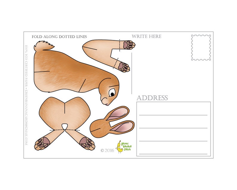Bunny Postcard, Set of 8 