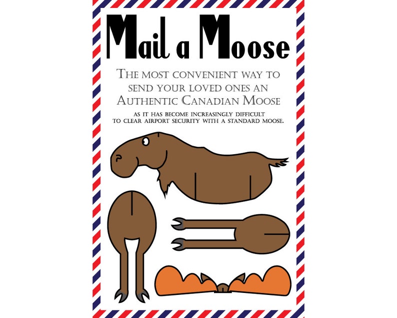 Moose Postcards, Set of 8 Mail a Moose Postcards Canadian Moose image 1