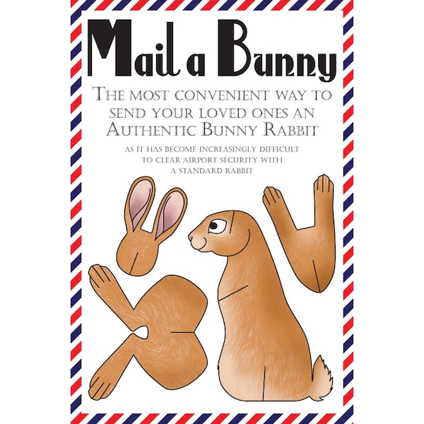 Carte postale lapin, lot de 8 cartes postales « Mail a Bunny »