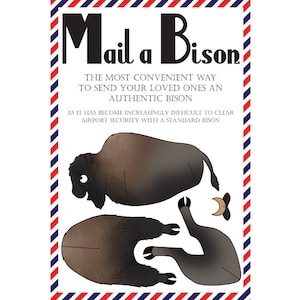 Carte postale Bison, lot de 8 cartes postales « Mail a Bison »