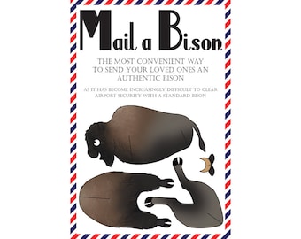 Bison Postkarte, Set aus 8 "Mail a Bison" Postkarten
