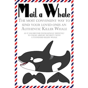 Cartes postales d'épaulard, lot de 8 cartes postales "Mail a Whale" (épaulard)