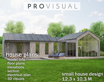 TINY Home Three BEDROOM Floor PLAN, Personalized Architectural Drawings Blueprints Plan for a Small House design with 3D model, drawing