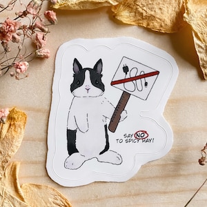 Adesivo coniglietto carino, adesivo in vinile con coniglietto olandese divertente, regalo per gli amanti dei conigli