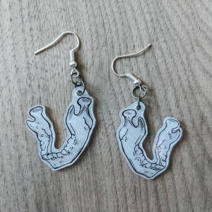 Jawbone earrings