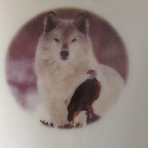 May include: A white wolf with a brown eagle perched on its back. The wolf is standing in a snowy forest setting. The image is in a circular frame.