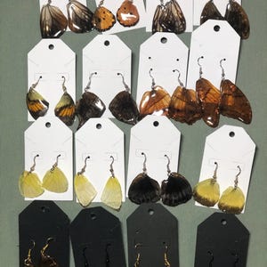 Butterfly wings - Earrings