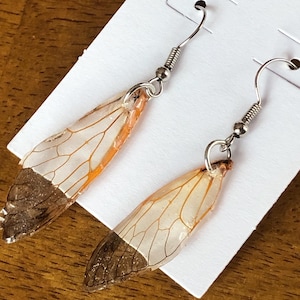 May include: A pair of unique earrings featuring insect wings. The wings are a translucent white and orange, with a brown, textured tip. The earrings have silver-colored hooks and small metal beads.