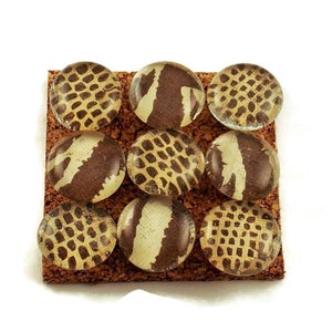 Animal Print  Push Pins Decorative Thumb Tacks Bulletin Board Pins  in  Wild  (P01)