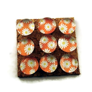 Glass Push Pins   Cork Board Pins  Thumb Tacks Funky Pushpins in Sunny (P94)