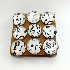 Decorative Glass Push Pins  Thumb Tacks Cork Board Tacks in  High Note (PP44)