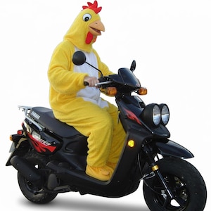 Yamaha Bws Zuma 50  1999-2004 Workshop and Service Manual Pdf - English (INSTANT DOWNLOAD)