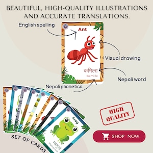 Cartões de memória Nepali Roedores e insetos, download digital, cartões de memória educacionais para crianças, aprendizagem da língua nepalesa, inspirado em Montessori