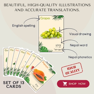 Cartões de memória flash de frutas nepalesas, ferramenta de aprendizagem educacional e cultural para crianças, download instantâneo, cartões de frutas em língua nepalesa