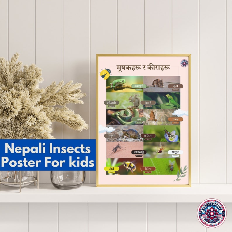 Printable Nepali Insects and Rodents Poster: Kids Educational Wall Art ...