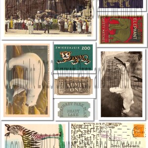 Zoo Digital Collage Sheet